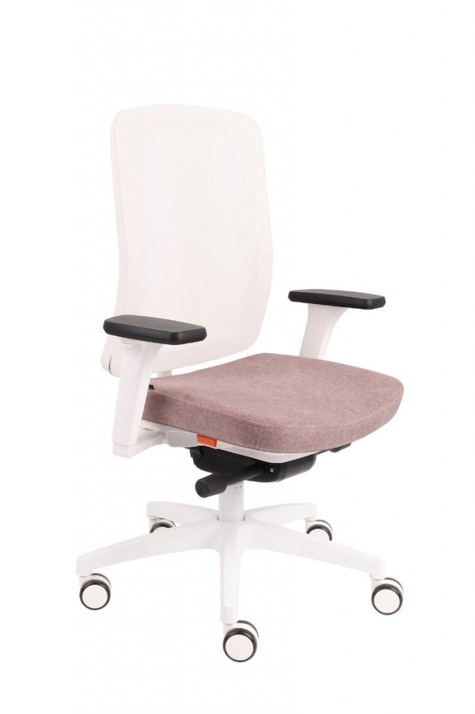 ErgoJunior WS