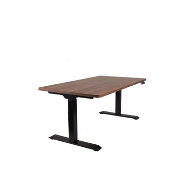 Adjustable Desk Alto 101
