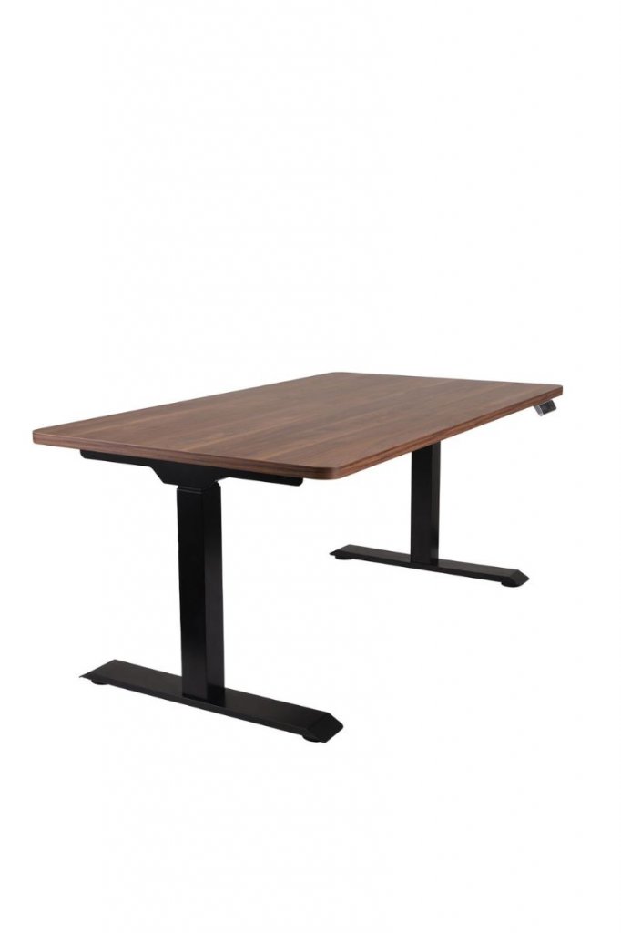 Adjustable Desk Alto 101