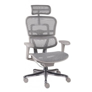 Ergohuman 2 Basic chair