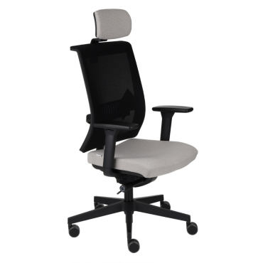 Level BS HD chair