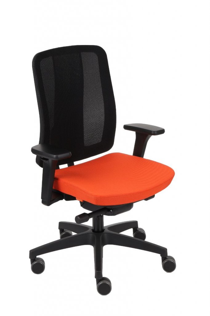 ErgoJunior BS