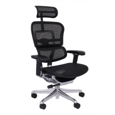 Ergohuman 2 Elite ST BS/GS chair
