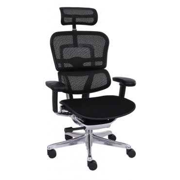 Ergohuman 2 Elite ST BT/GT chair