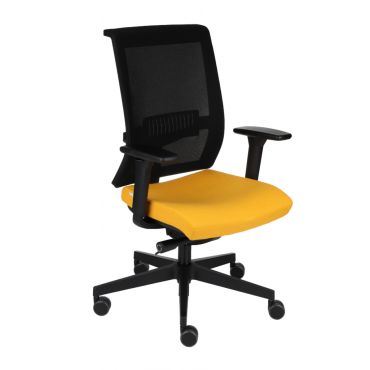 Level BS chair